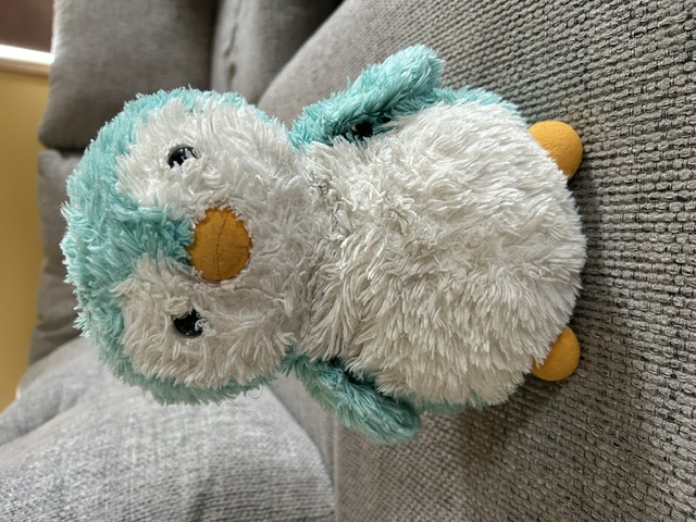 Before: fluffy teal and white stuffed penguin with orange beak and feet, sitting on a gray couch