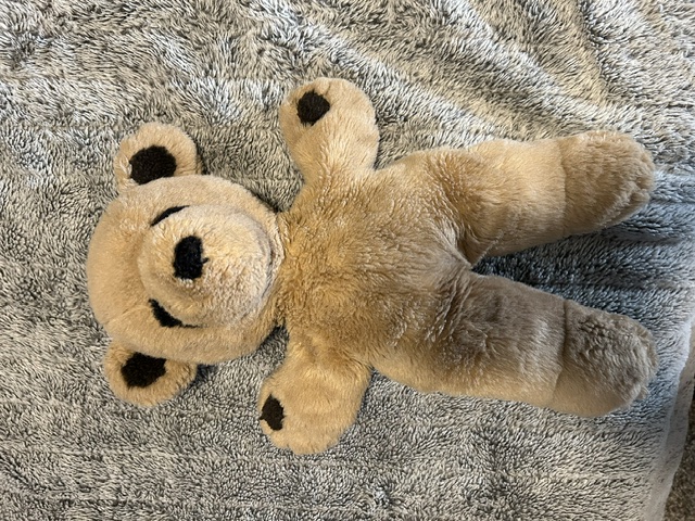Before: tan teddy bear stuffed animal with dark brown ears, paws, and nose, laid flat on a gray carpet
